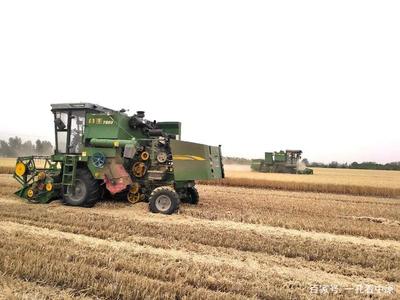 昔日生活苦，今天美滋滋——記襄城縣范湖鄉(xiāng)凹郭村王清坤的農(nóng)機租賃致富路